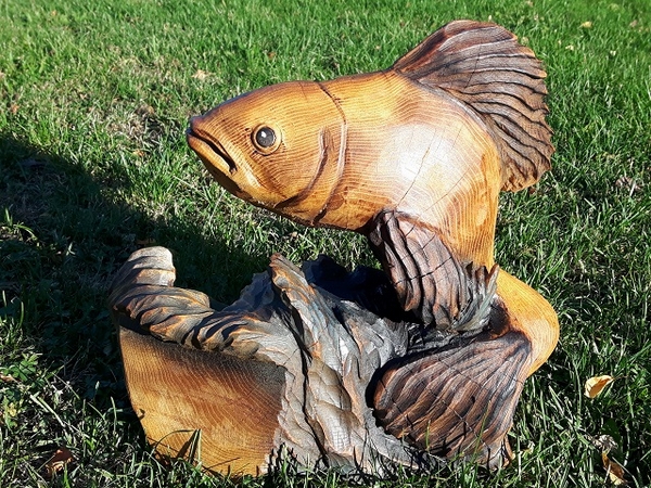 Fisch, Akazie, 80 cm