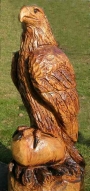 Adler, L�rche, 90 cm